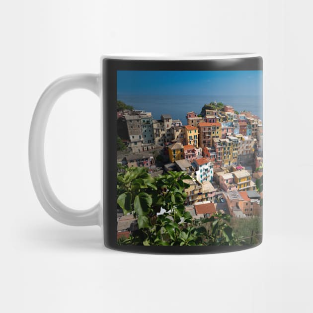 View on the cliff town of Manarola, one of the colorful Cinque Terre on the Italian west coast by Dolfilms